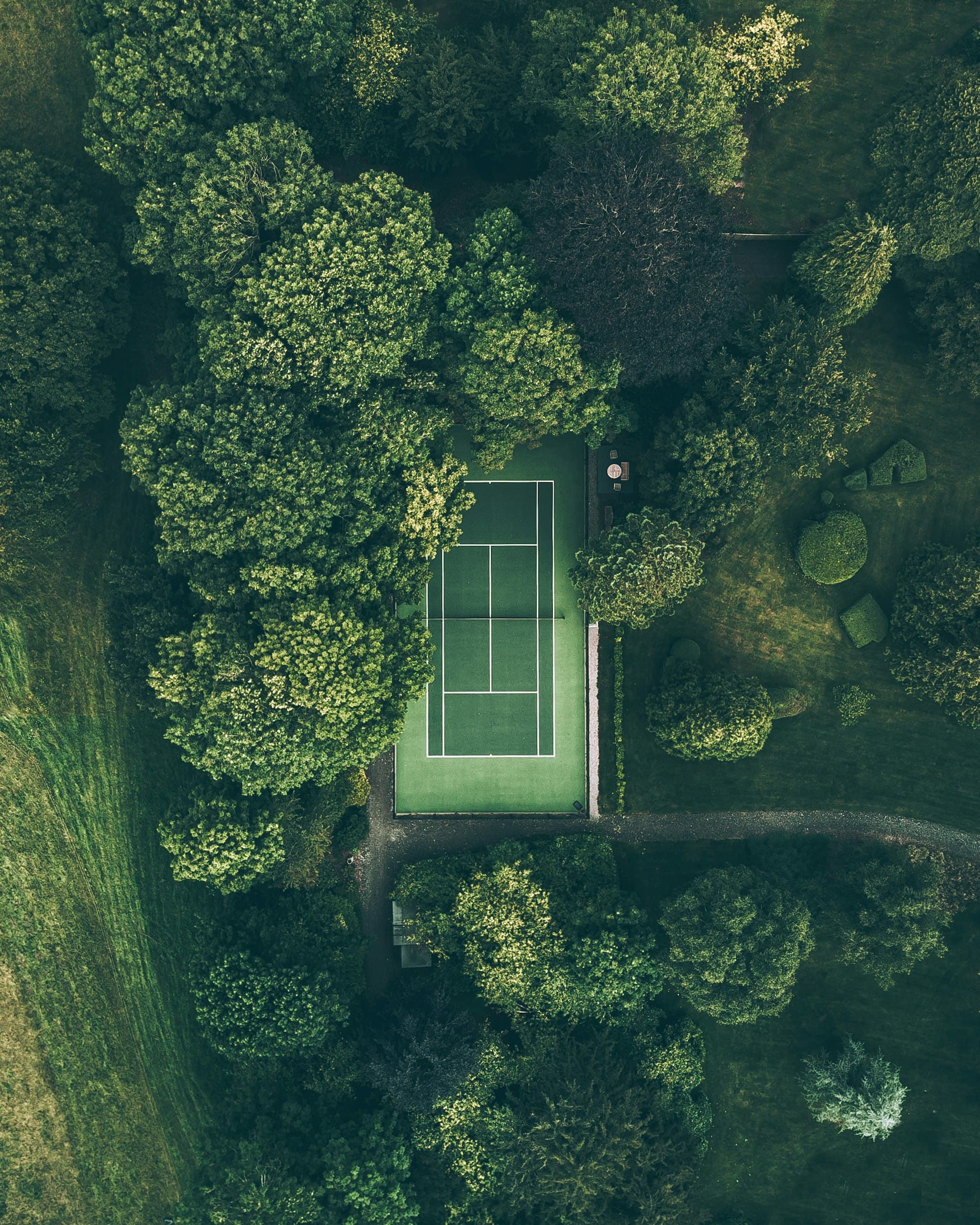 Aerial view of a single tennis court surrounded by trees.